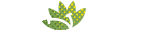 Biswas Nursery-
